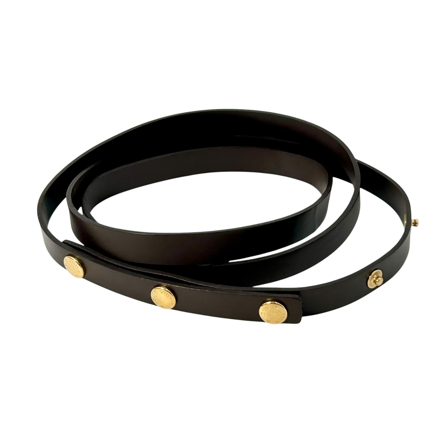 Louis vuitton Florentine Ebene Strap