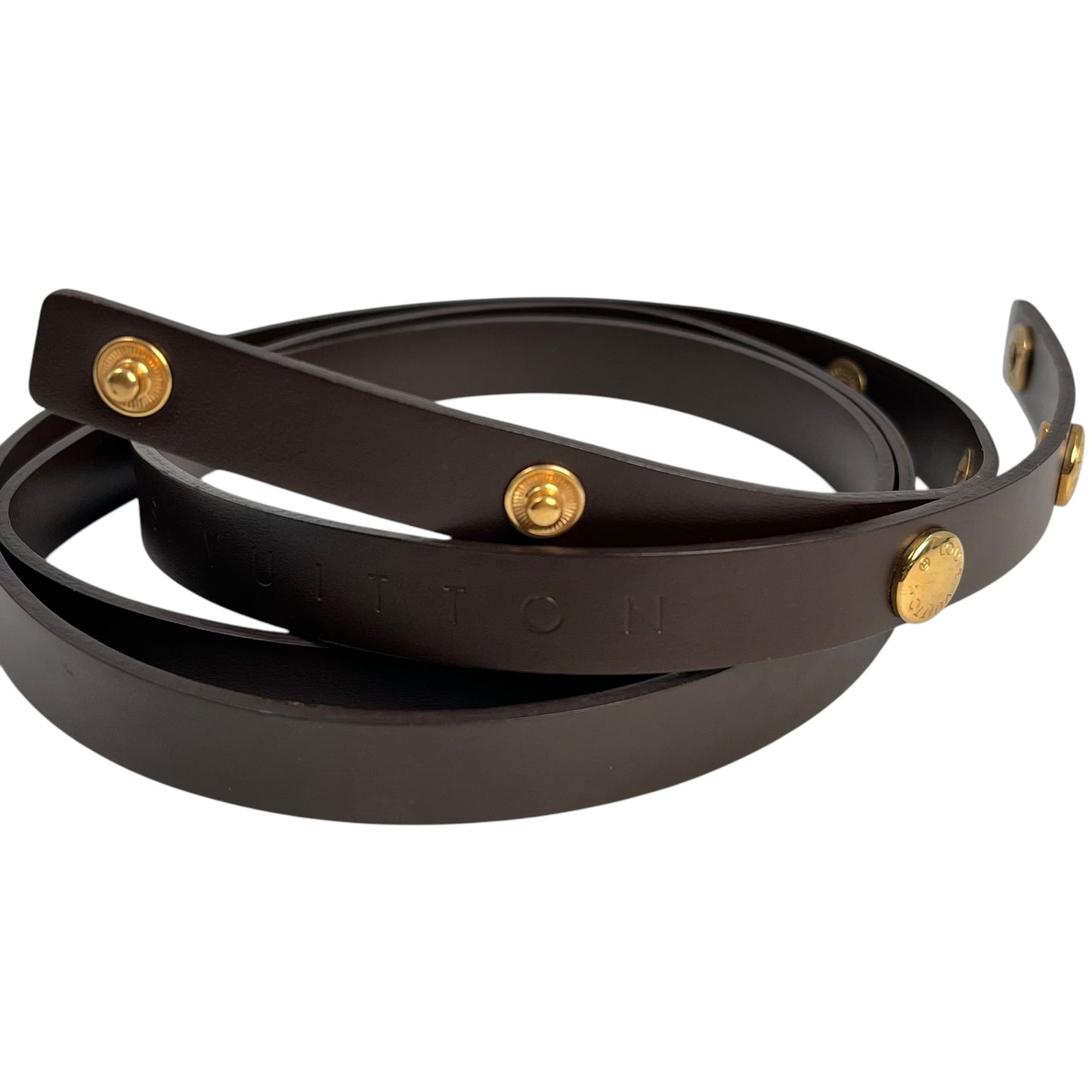 Louis vuitton Florentine Ebene Strap