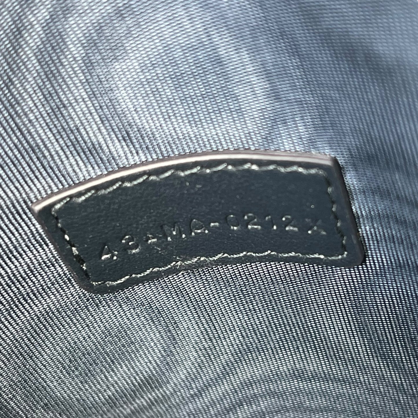Dior Vibe Phone Shoulder Card Case