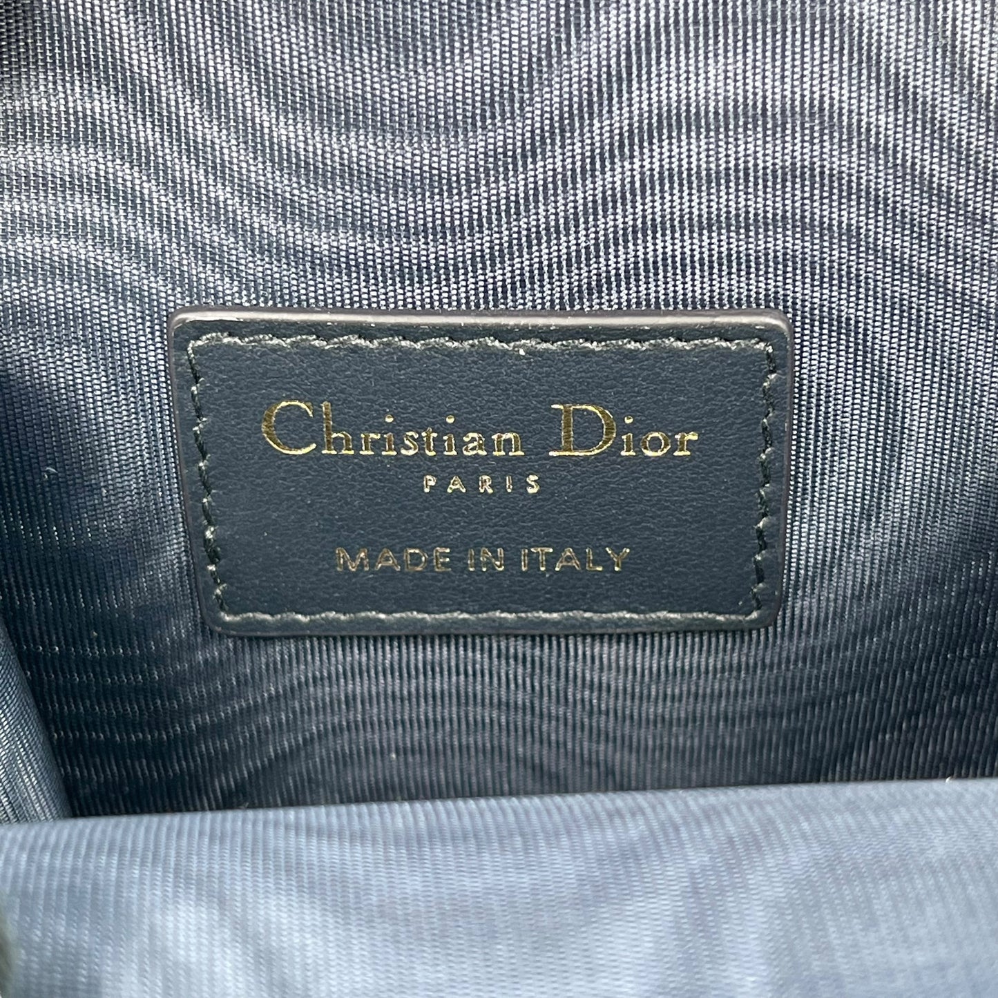 Dior Vibe Phone Shoulder Card Case