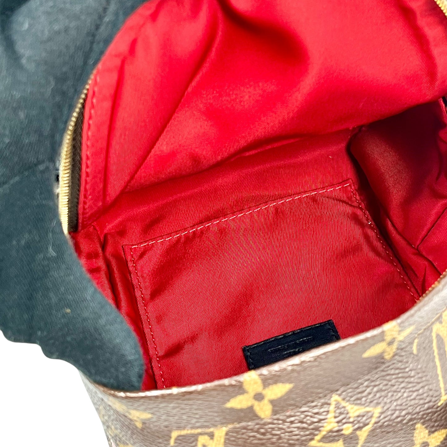 Louis Vuitton Monogram Canvas World Tour Palm Springs Mini Backpack - Darkbrown