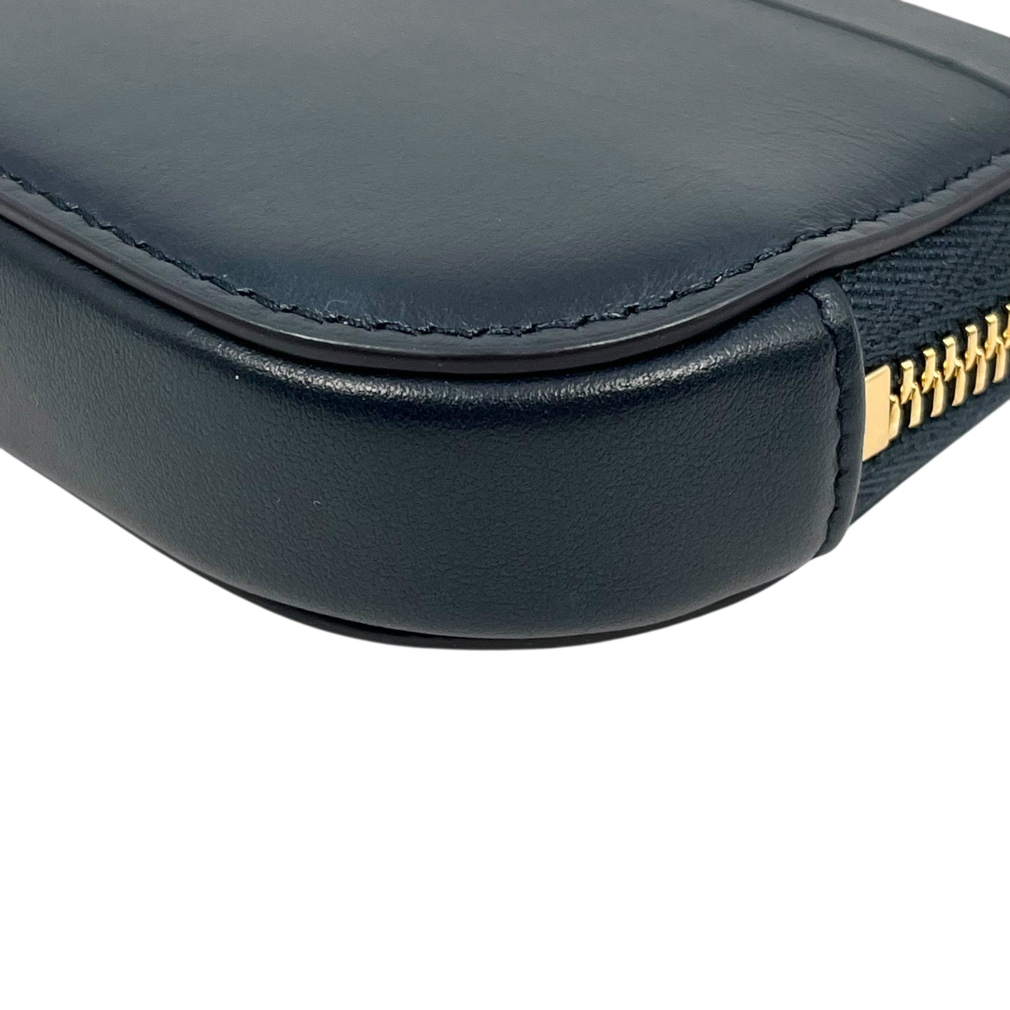 Dior Vibe Phone Shoulder Card Case
