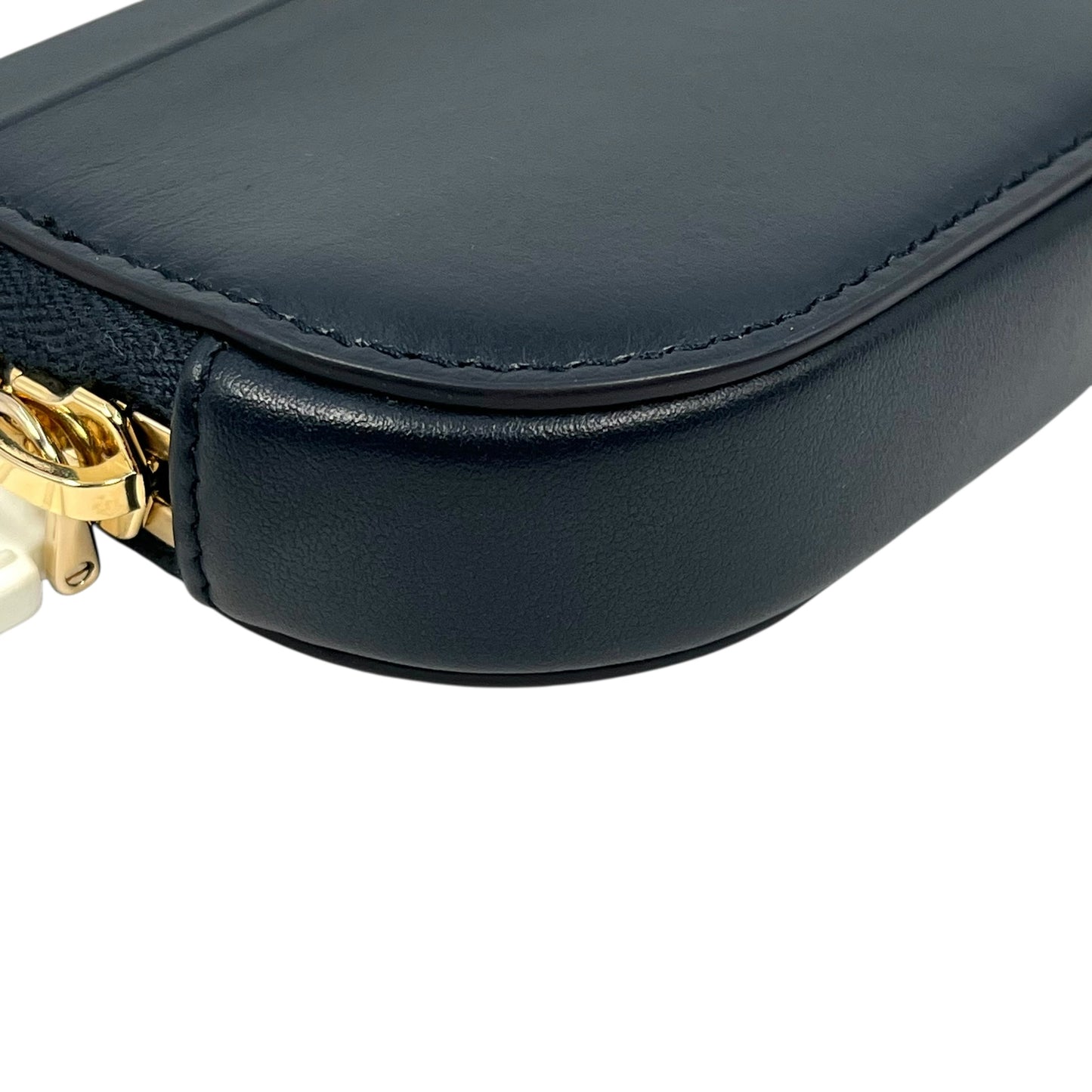 Dior Vibe Phone Shoulder Card Case