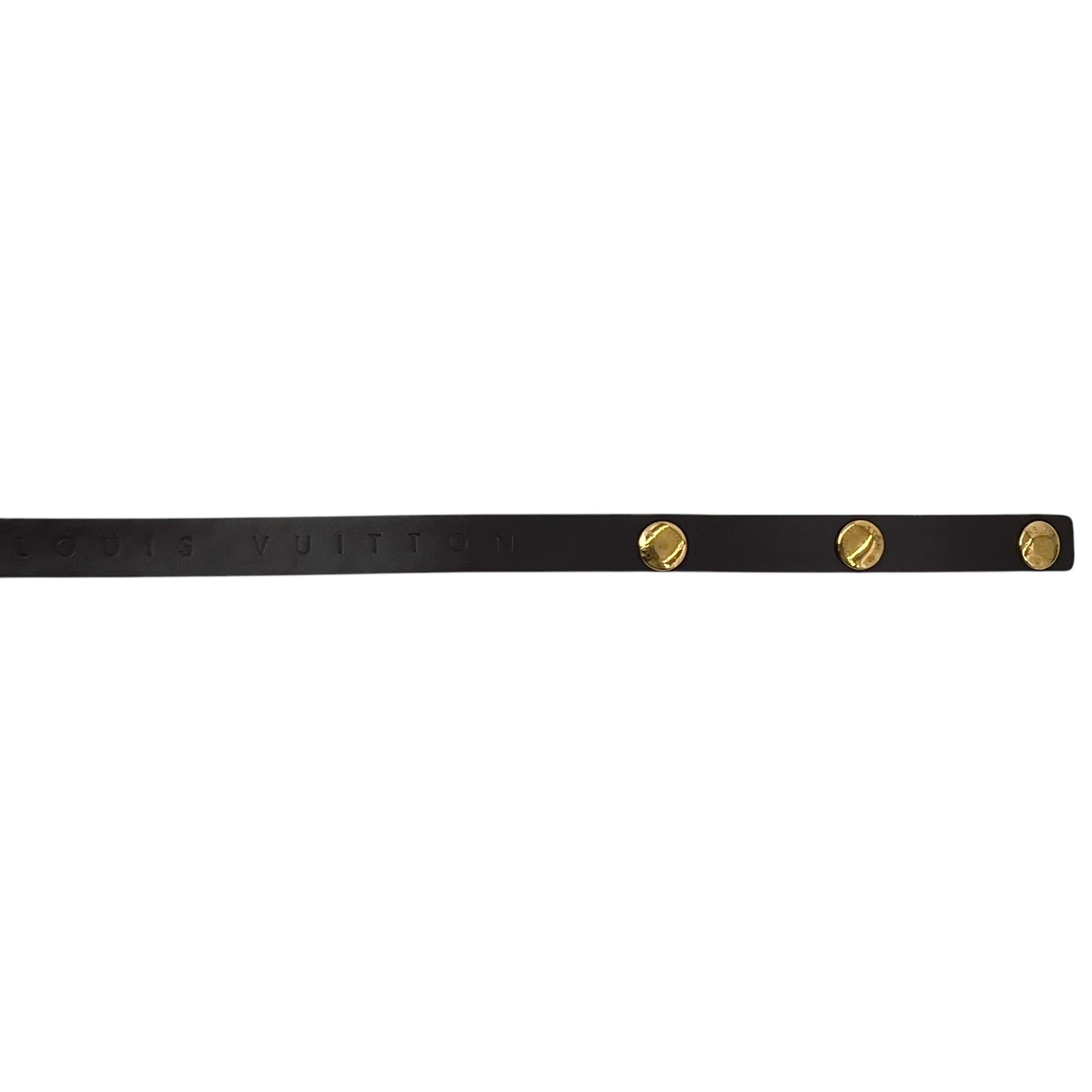 Louis vuitton Florentine Ebene Strap