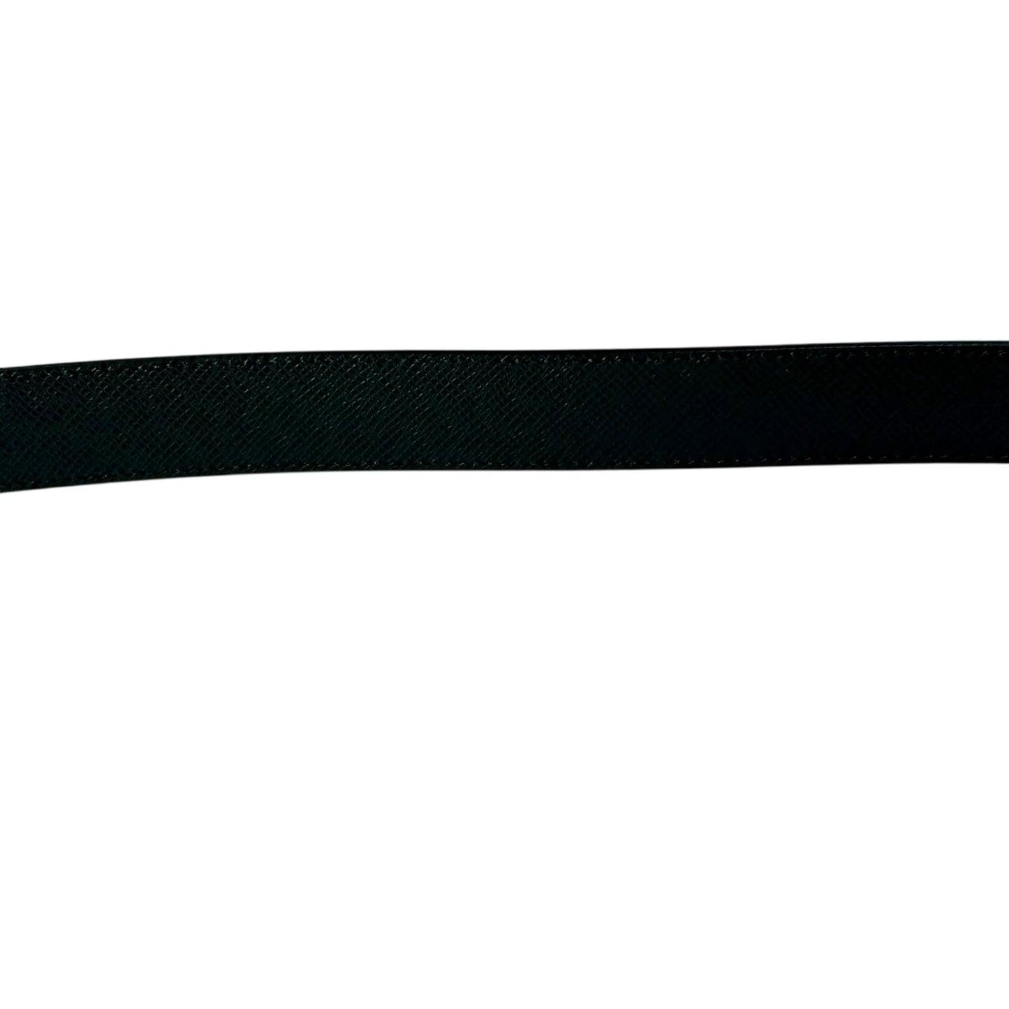Louis Vuitton Suntulle Belt