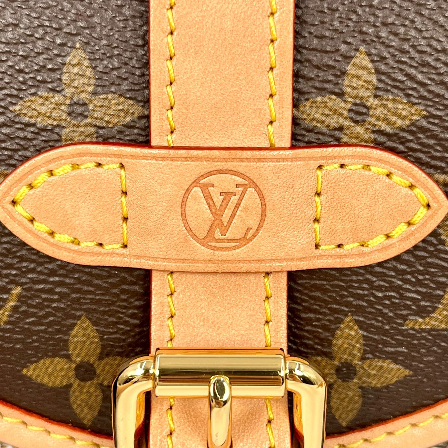 Louis Vuitton Monogram Saumur BB 2way Hand Bag -Brown