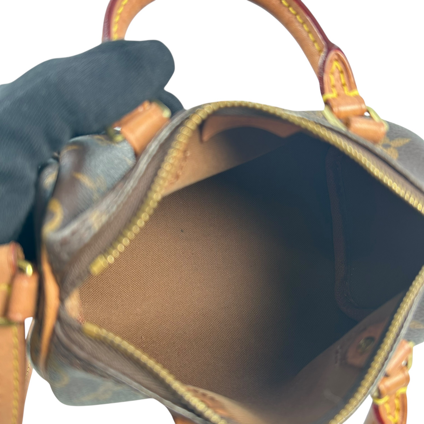 Louis Vuitton Monogram Nano Speedy Mini Bag
