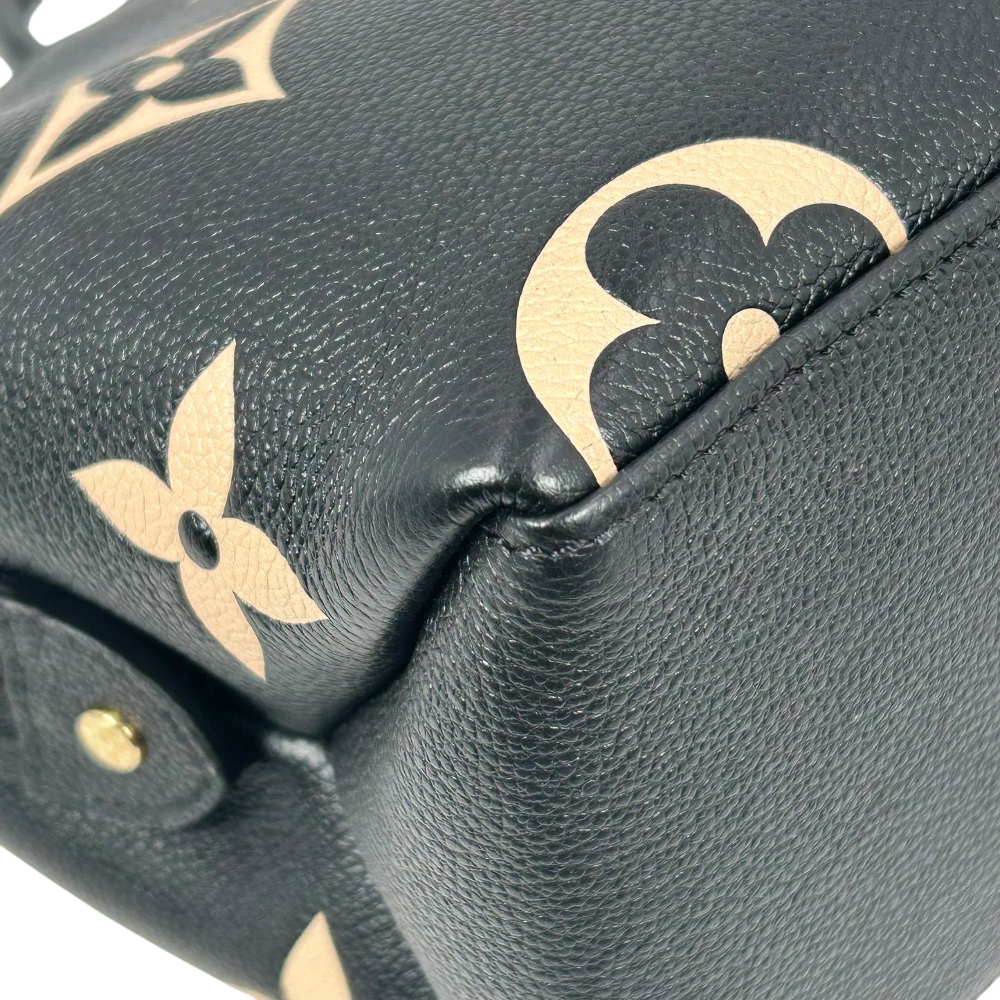 Louis Vuitton Peiit Palais PM Totebag