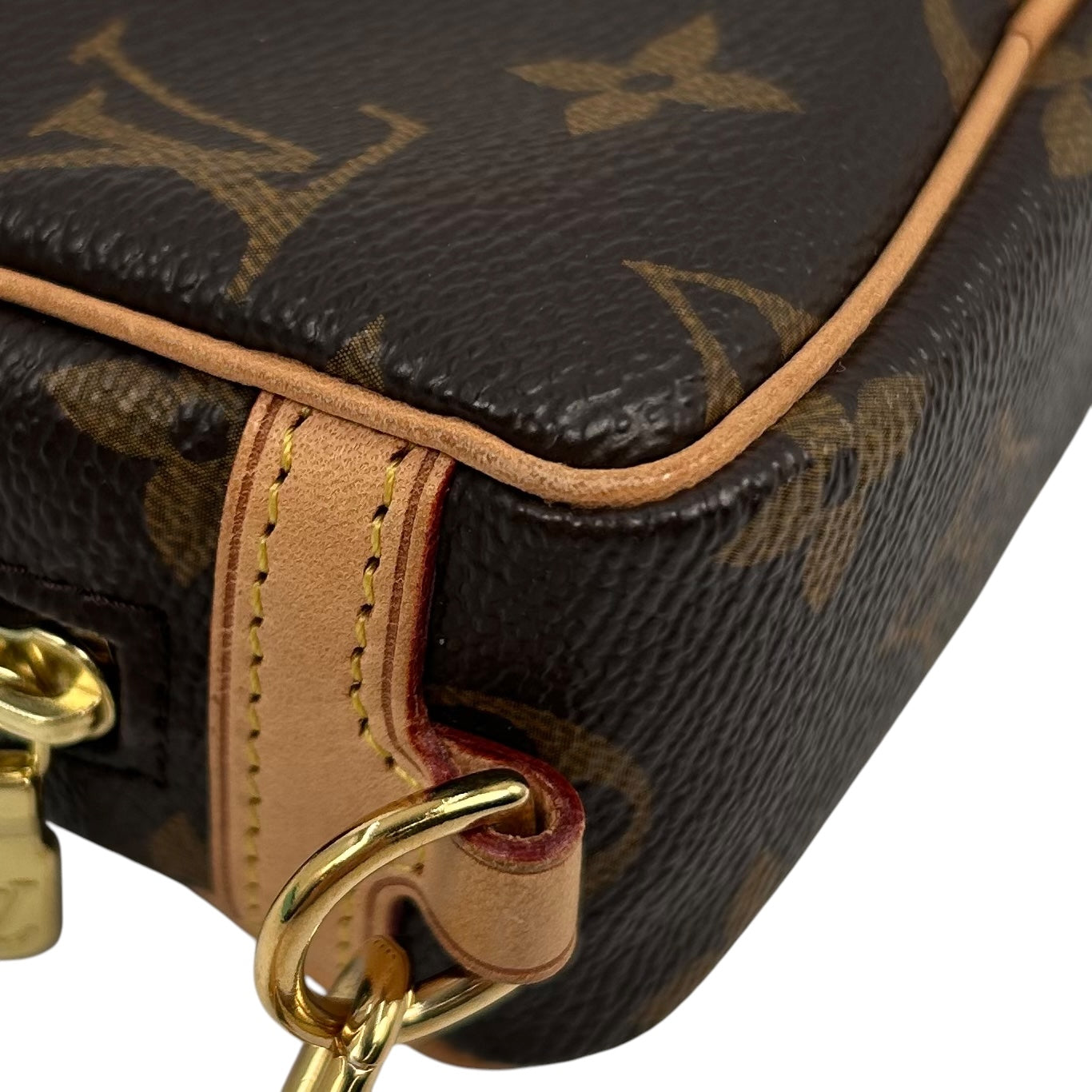 Louis Vuitton Monogram Truth Wapity Pouch