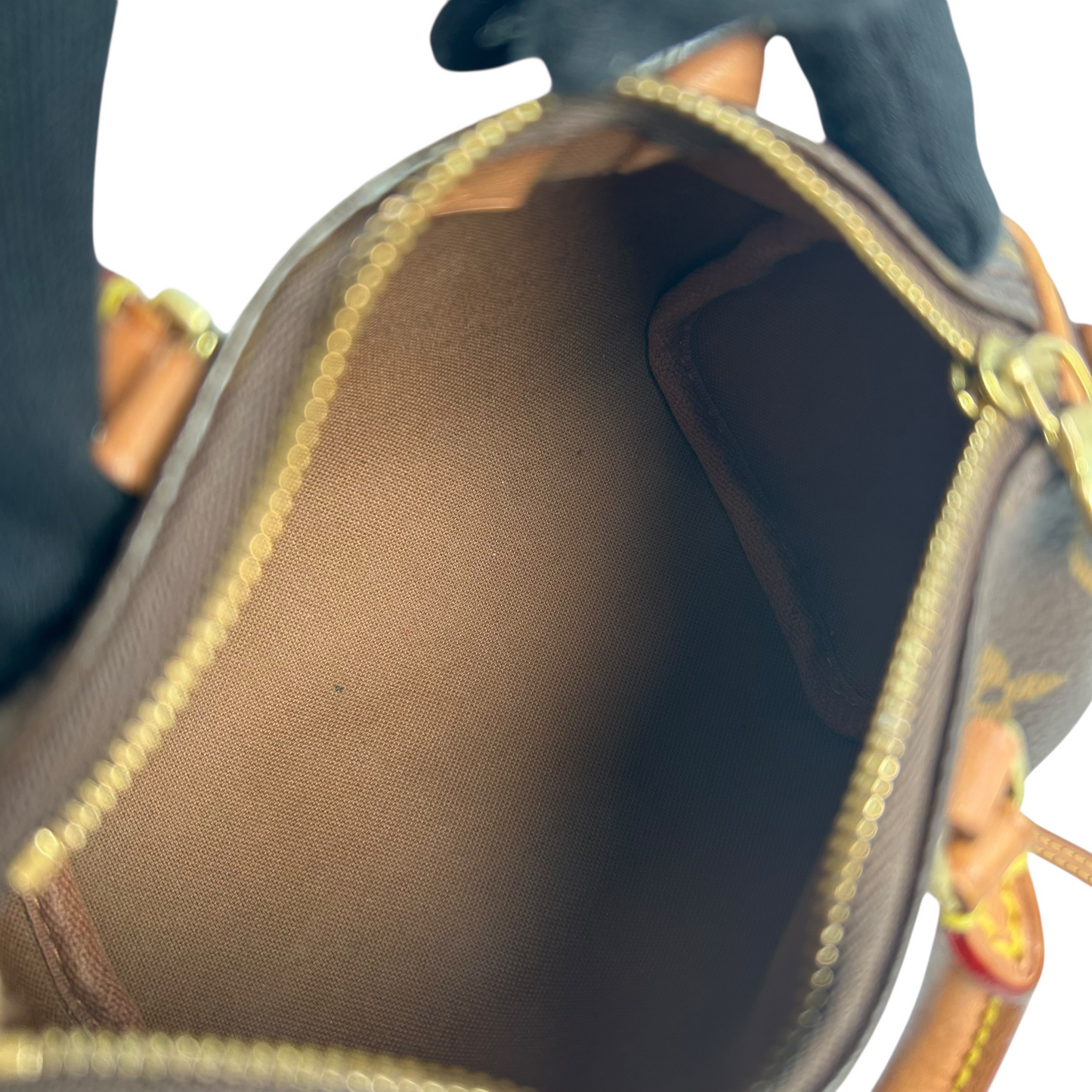 Louis Vuitton Monogram Nano Speedy Mini Bag