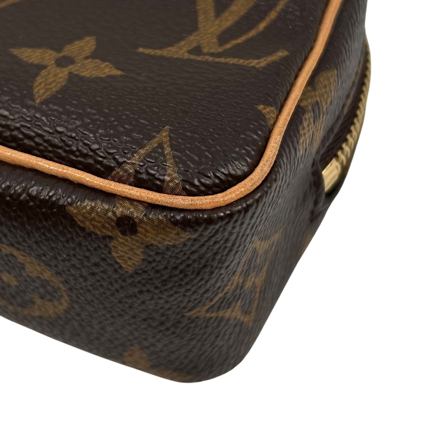 Louis Vuitton Monogram Truth Wapity Pouch
