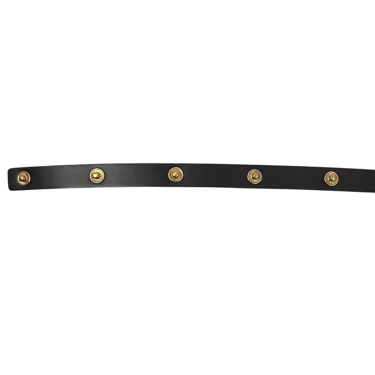 Louis vuitton Florentine Ebene Strap