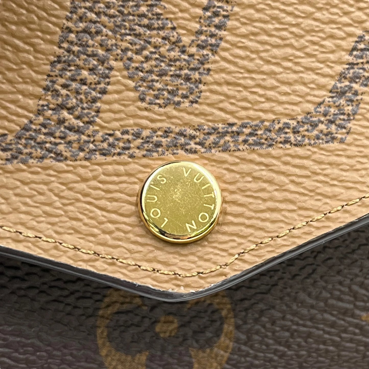 Louis Vuitton Monogram Giant Reverse Saleh Long Wallet - Brown
