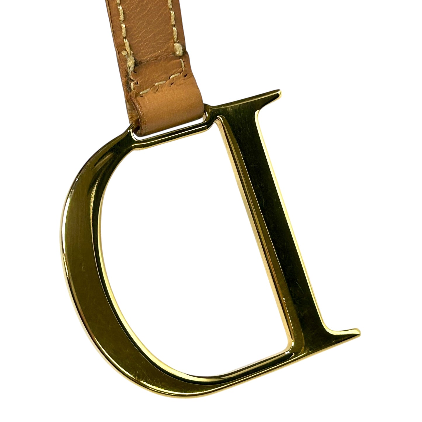 Dior Saddle Trotte canvas Shoulder Bag