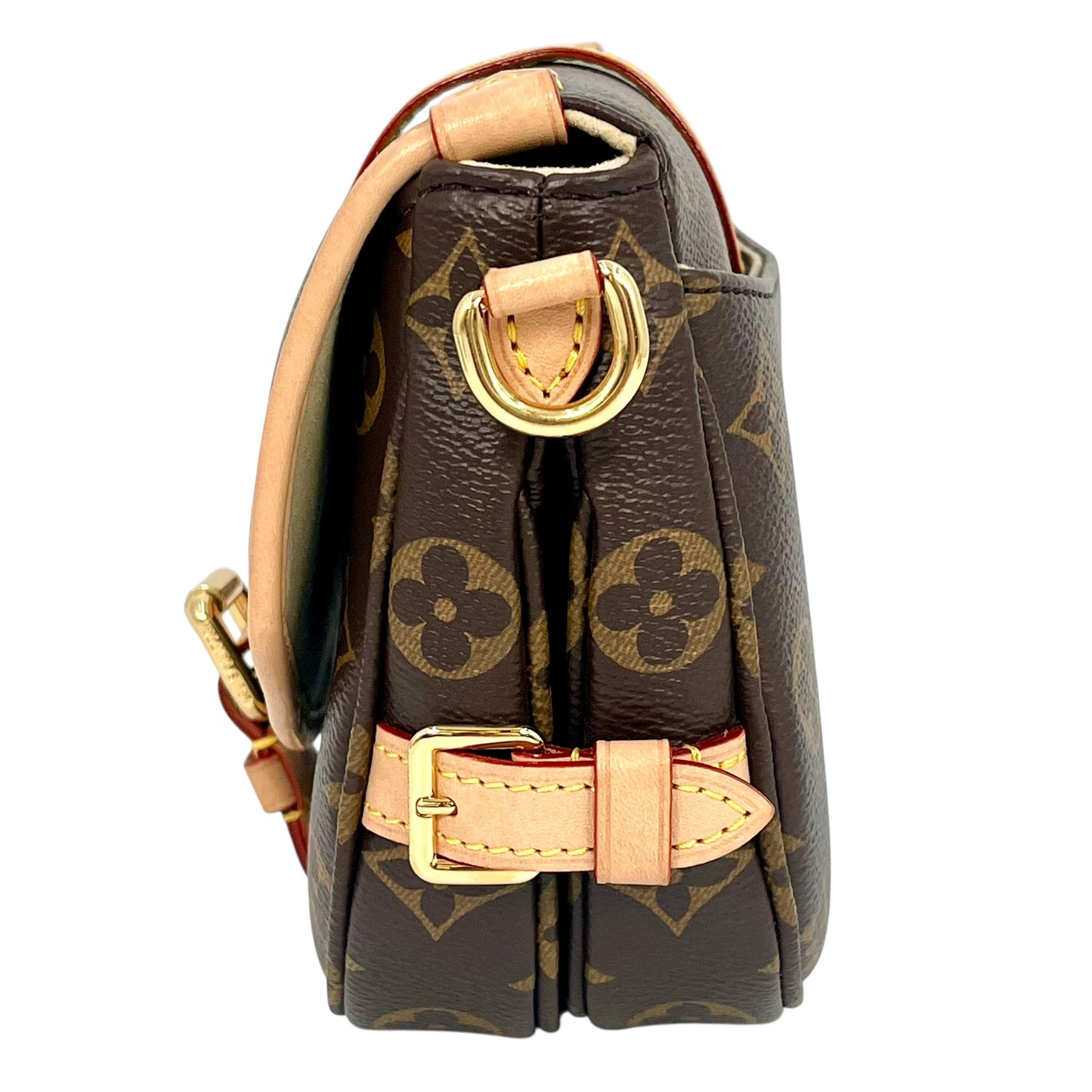 Louis Vuitton Monogram Saumur BB 2way Hand Bag -Brown