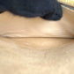 Louis Vuitton Monogram Empreinte Chain Wallet Shoulder Bag - Cream