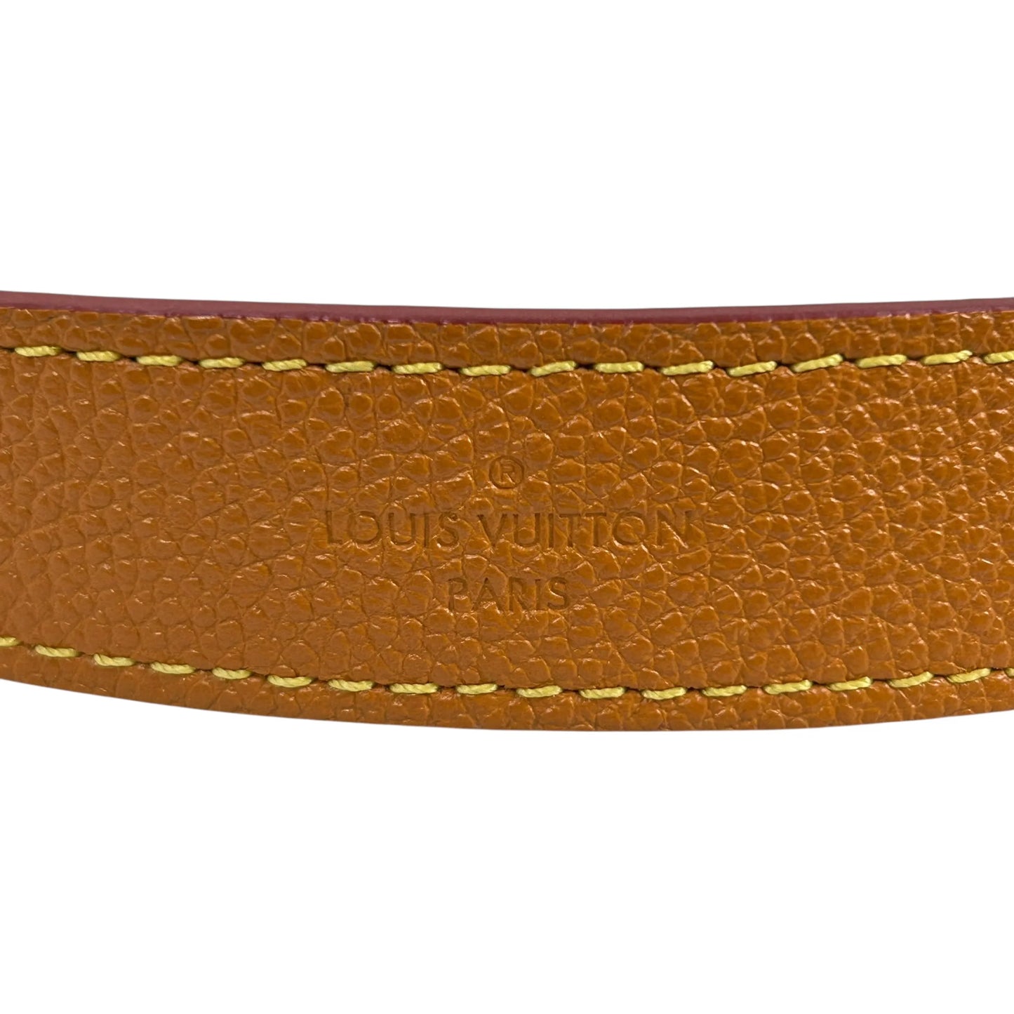 Louis Vuitton エピ レザー マレル ゴールドミエル ハンドバッグ - ブラウン