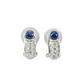 Sapphire Platinum Earring Pt900