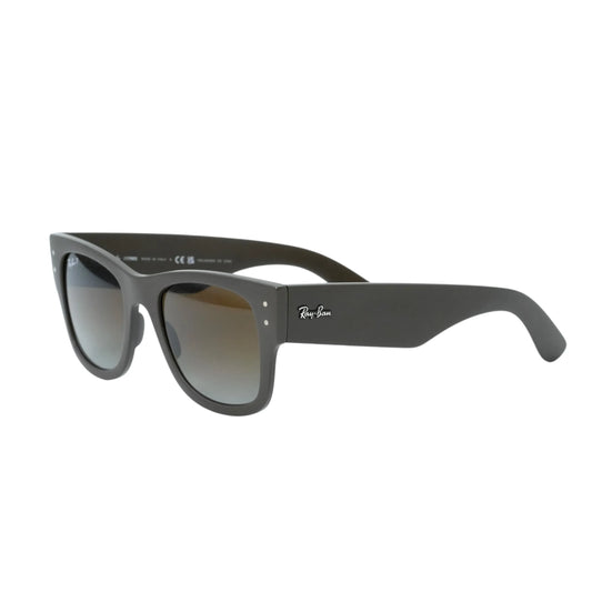 Ray-Ban Brown Frame Sunglasses - Brown - 34032