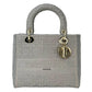 Christian Dior Lady Dior D Lite Hand Bag Shoulder Bag - Gray