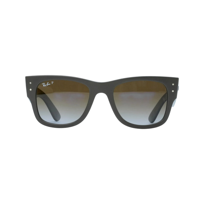 Ray-Ban Brown Frame Sunglasses - Brown - 34042
