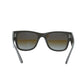 Ray-Ban Brown Frame Sunglasses - Brown - 34032