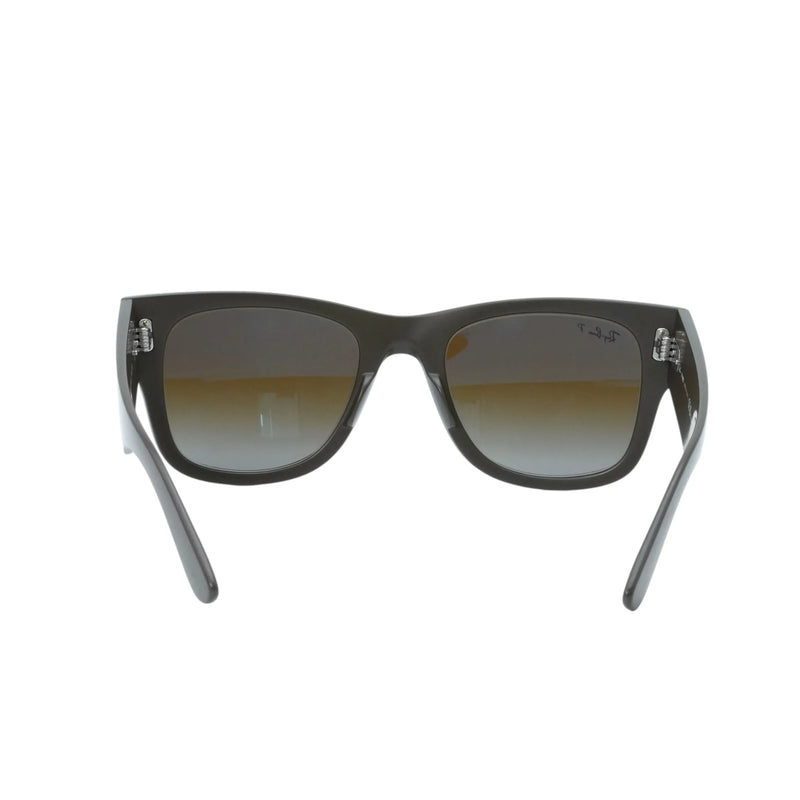 Ray-Ban Brown Frame Sunglasses - Brown - 34032