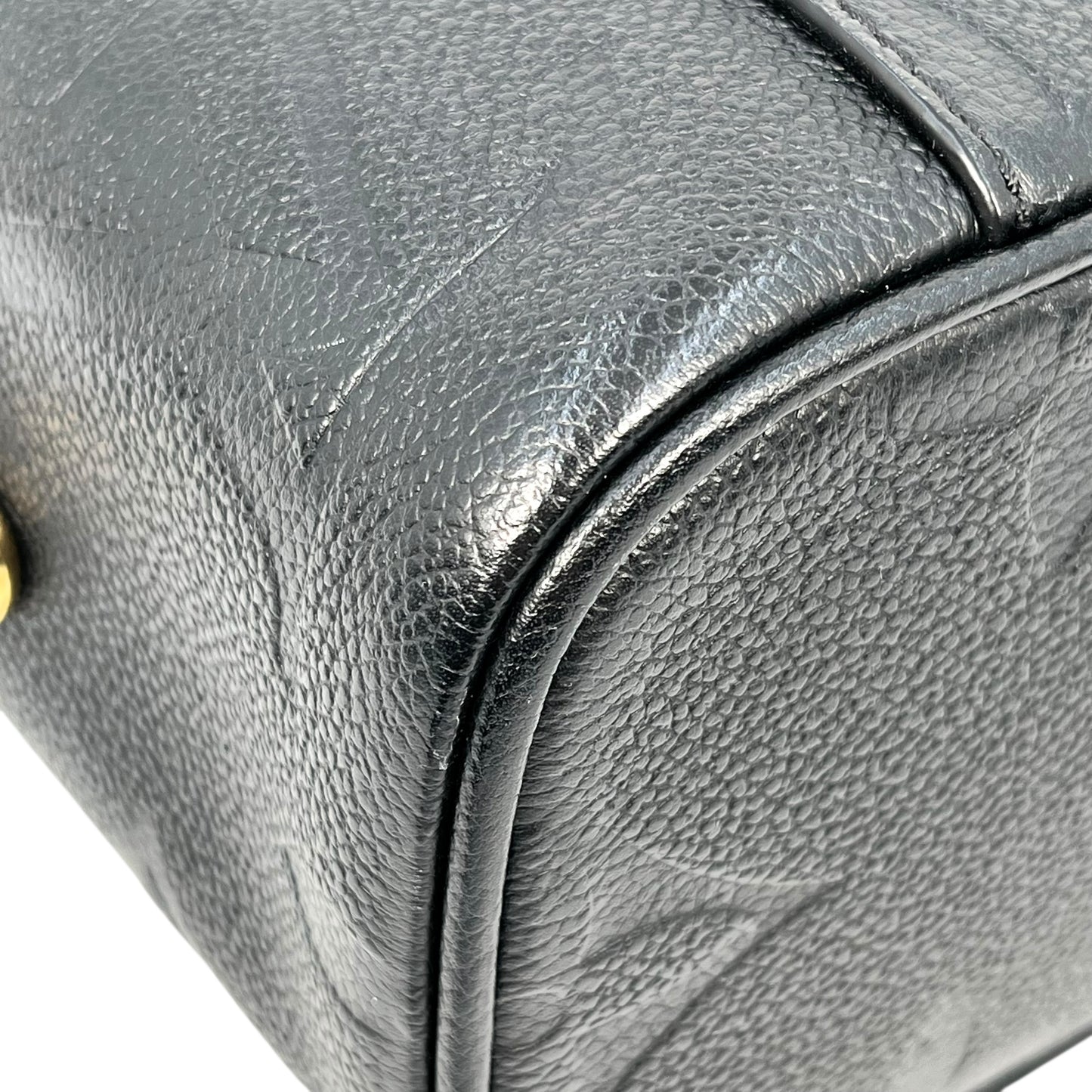 Louis Vuitton Amplant VantiyPM