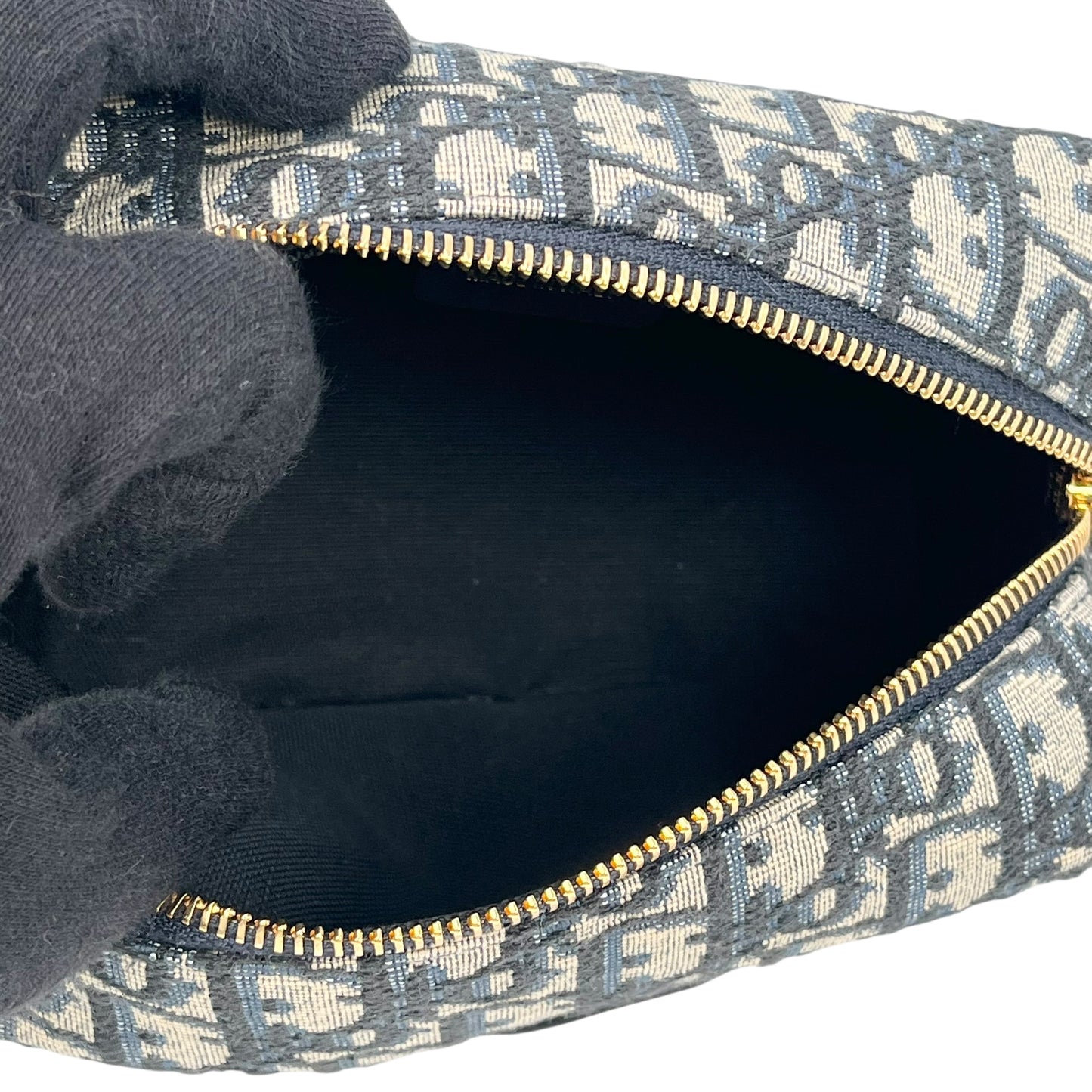 Dior Canvas 30 Montaigne Venus Pouch