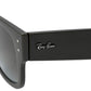 Ray-Ban Brown Frame Sunglasses - Brown - 34042