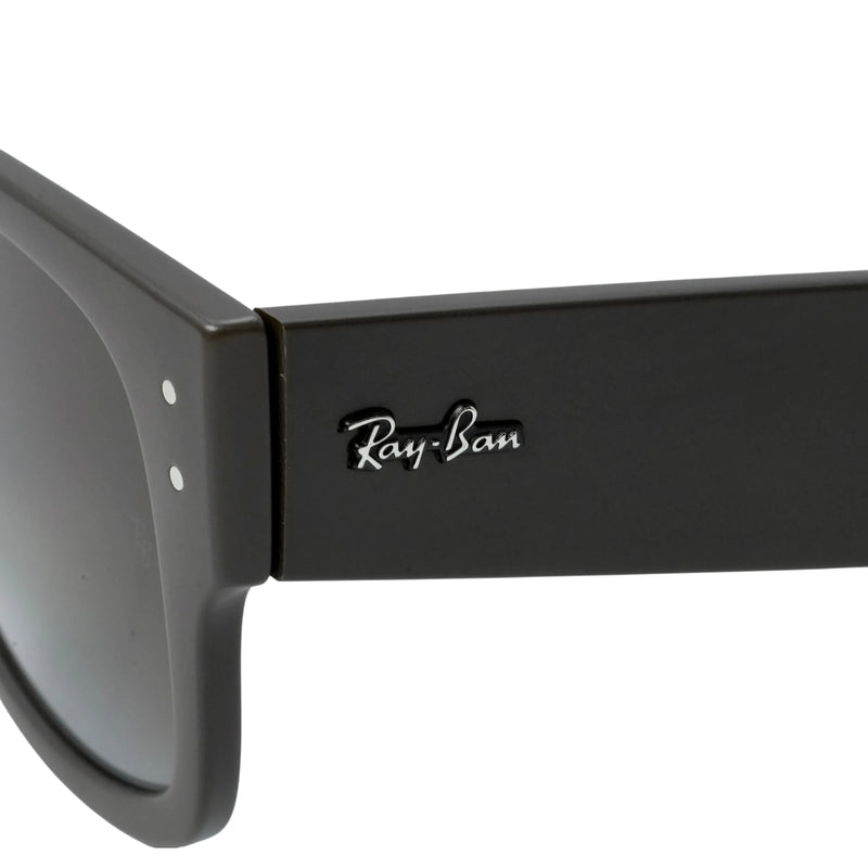 Ray-Ban Brown Frame Sunglasses - Brown - 34042