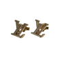 Louis Vuitton LV Iconic Earring