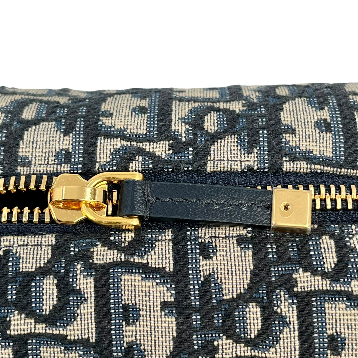 Dior Canvas 30 Montaigne Venus Pouch