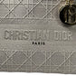 Christian Dior Lady Dior D Lite Hand Bag Shoulder Bag - Gray