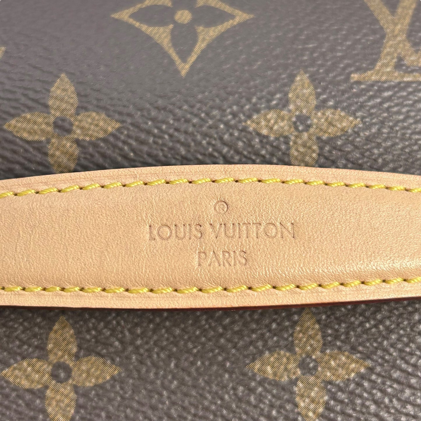 Louis Vuitton Nice Mini pouch