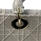 Christian Dior Lady Dior D Lite Hand Bag Shoulder Bag - Gray