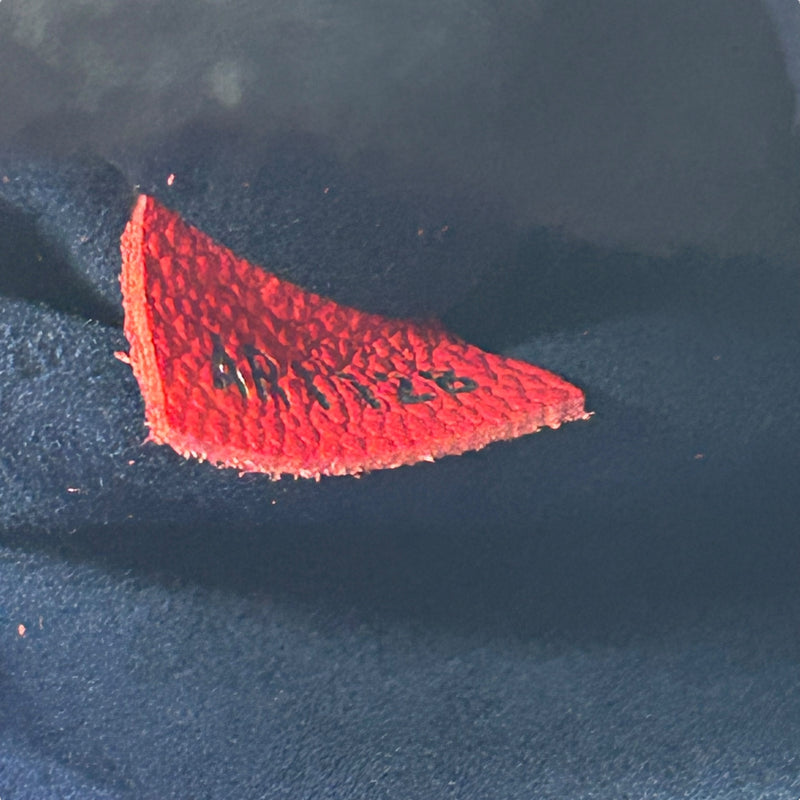 Louis Vuitton ツイスト トート コクリコ エピ レザー ハンドバッグ - レッド