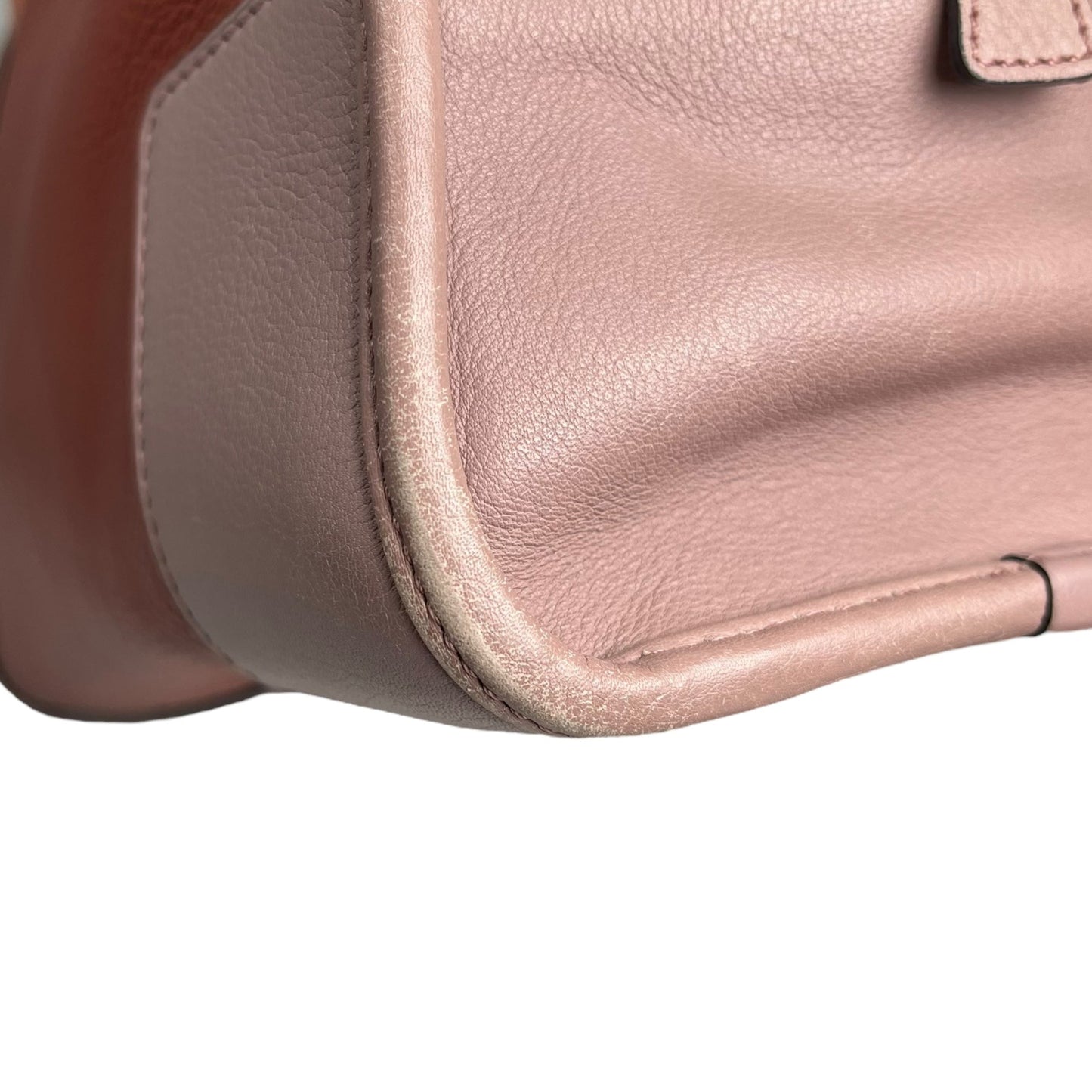 LOEWE Amazona 36 Multi Color