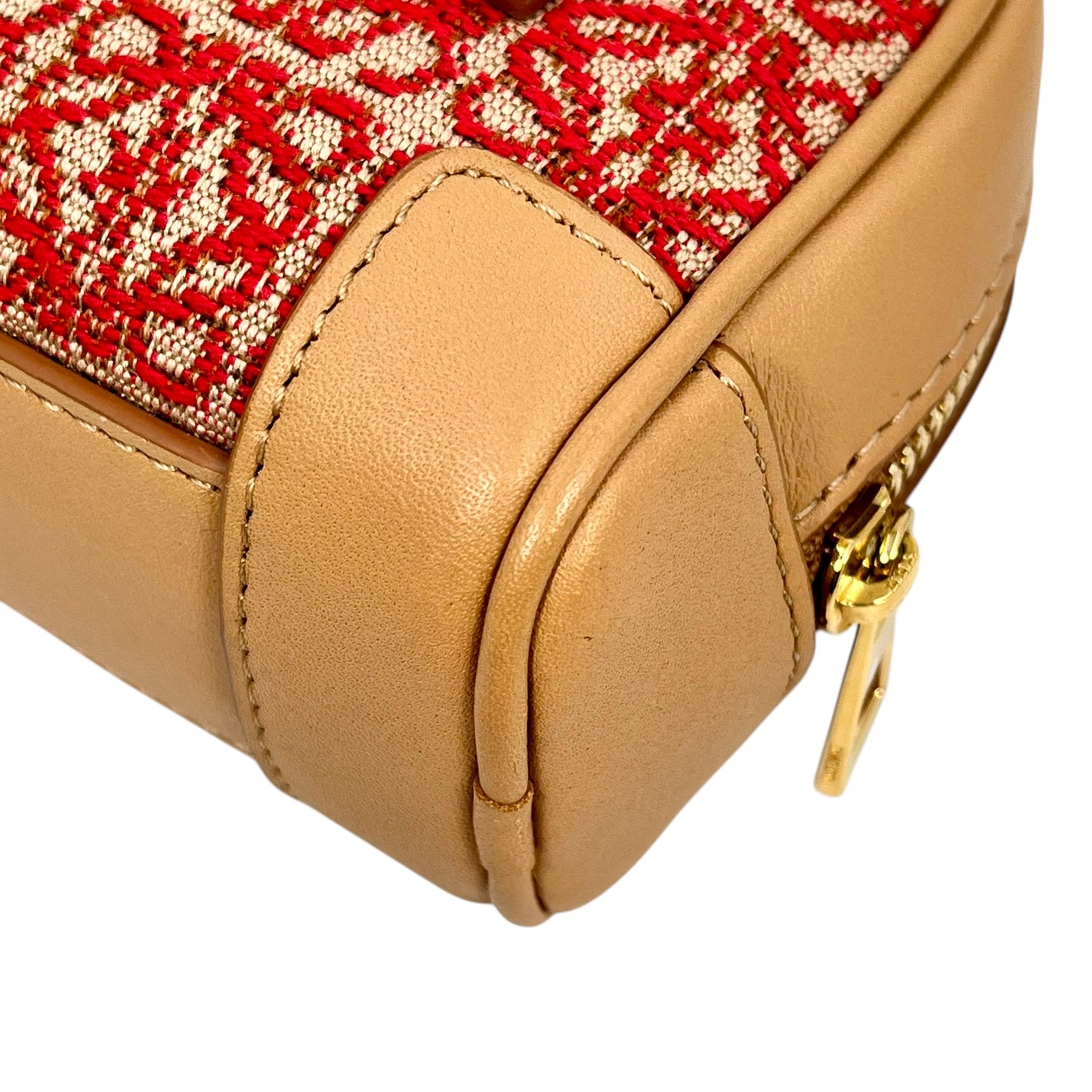 LOEWE amazana nano 2way bag