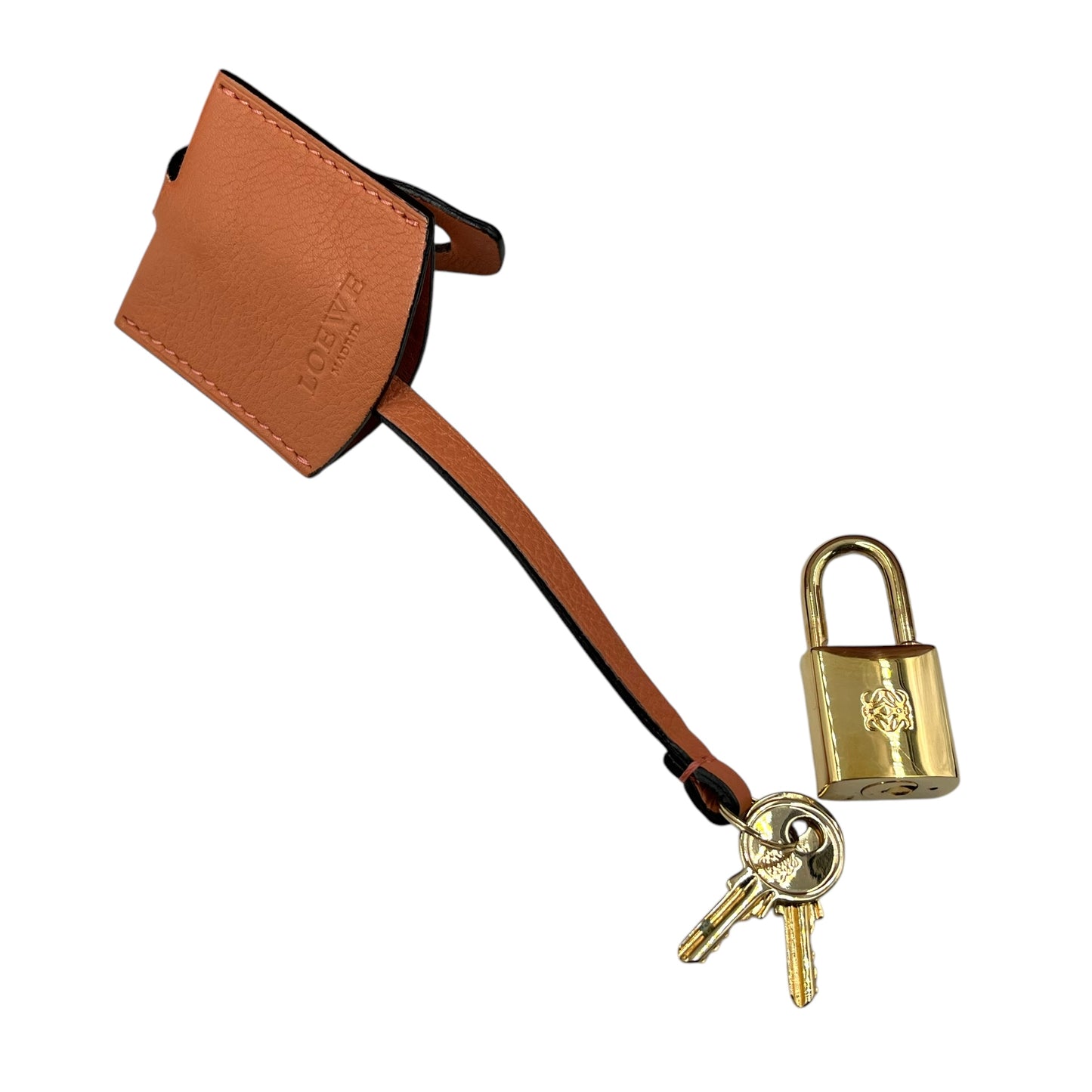 LOEWE Amazona 36 Multi Color