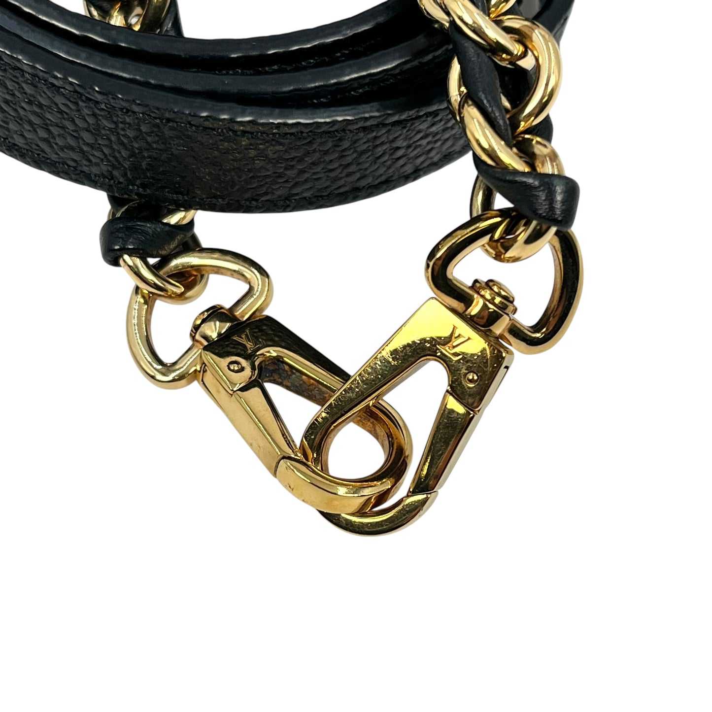 Louis Vuitton Amplant VantiyPM