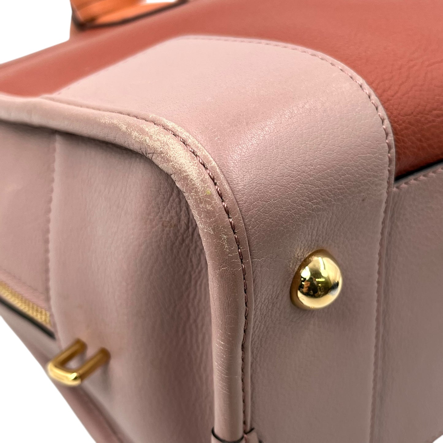 LOEWE Amazona 36 Multi Color