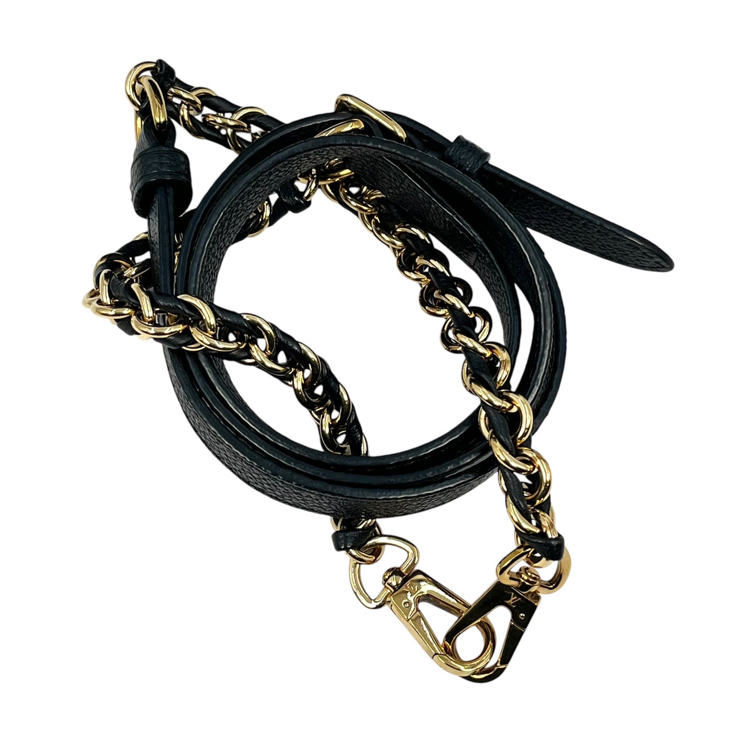Louis Vuitton Amplant VantiyPM