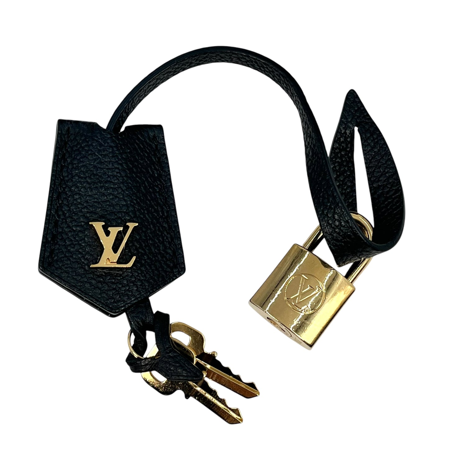 Louis Vuitton Amplant VantiyPM