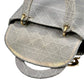 Dior Lady D-lite 2waybag