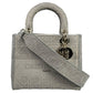 Christian Dior Lady Dior D Lite Hand Bag Shoulder Bag - Gray