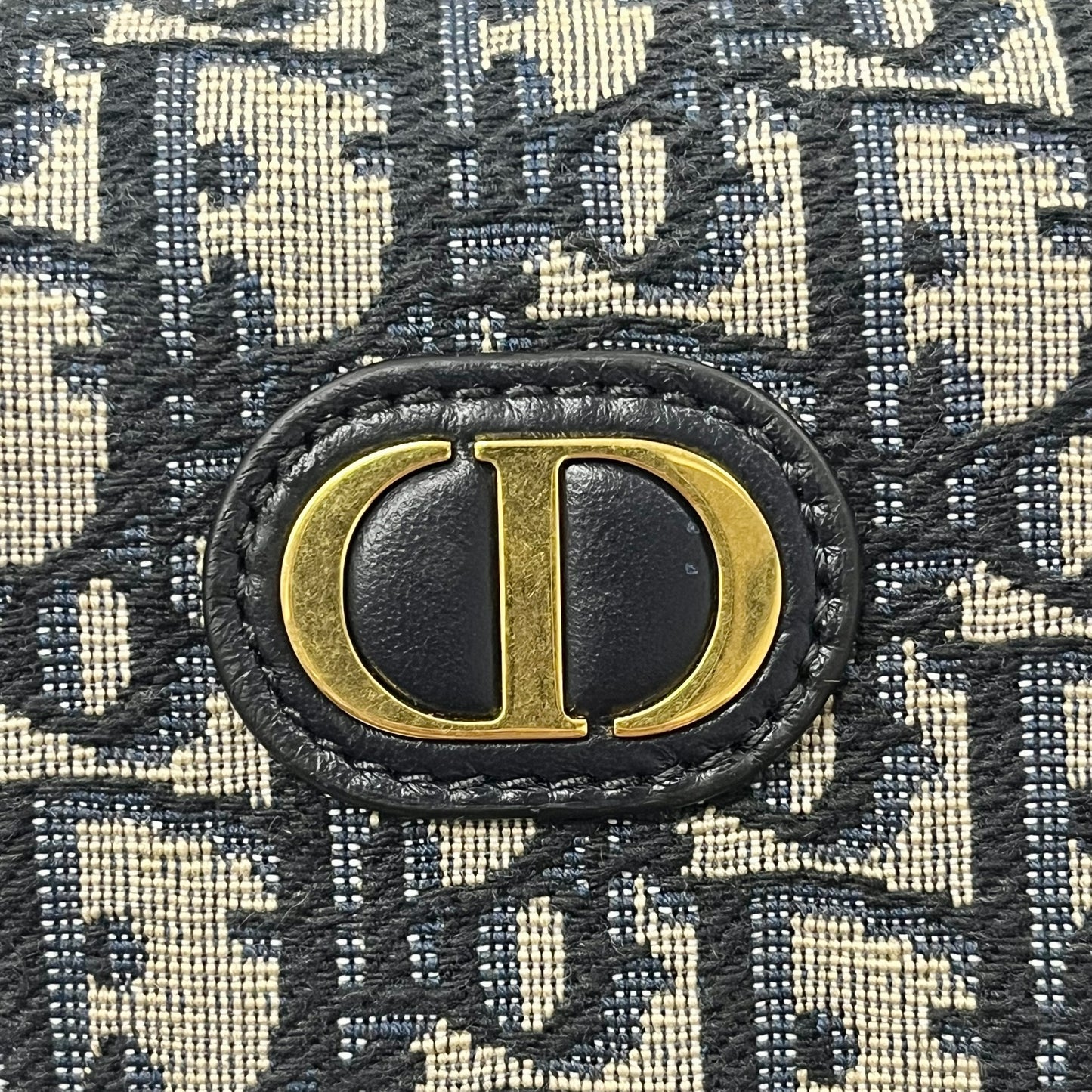 Dior Canvas 30 Montaigne Venus Pouch