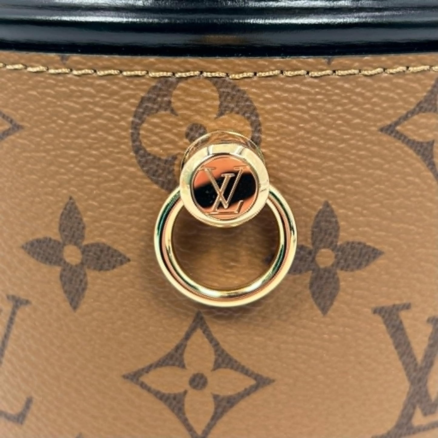 Louis Vuitton Monogram Reverse Canvas Cannes Crossbody Bag