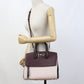 FERRAGAMO Gancini Calfskin Handbag/Shoulder Bag - Pink and Brown
