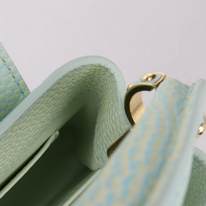 LOUIS VUITTON カプシーヌ ミニ サマースターダスト トリヨンレザー